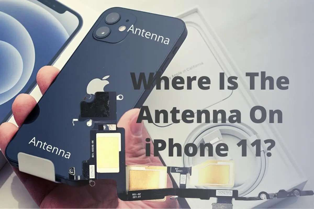 Scottish Patience Symptoms Where Is The Antenna On iPhone 11? - RLCtalk.com